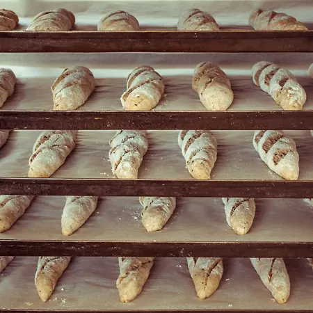 Furnirussi Tenuta 5* Carpignano Salentino